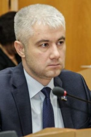 Александр Кошуков: «Надо дать возможность местным властям реально защищать людей от безнадзорных собак!»