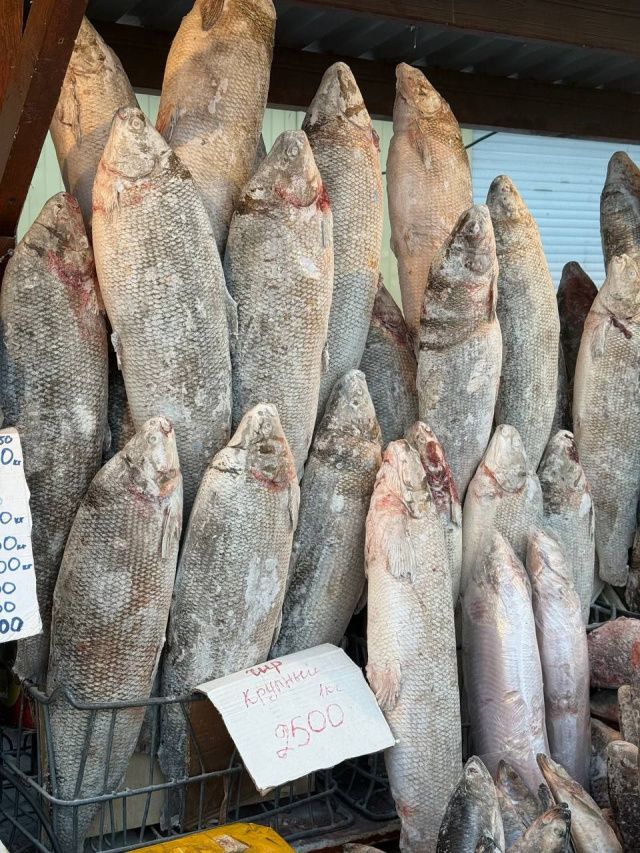 Цена свежей рыбы на "Крестьянском рынке"