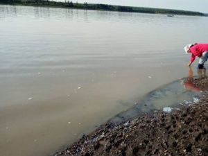 Сахамин Афанасьев: Взысканный ущерб должен работать на экологические программы