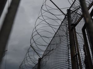 Пробыл на свободе недолго 