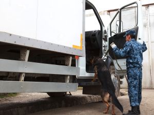 На базе исправительной колонии № 6 проведен учебно-методический сбор начальников учреждений УФСИН