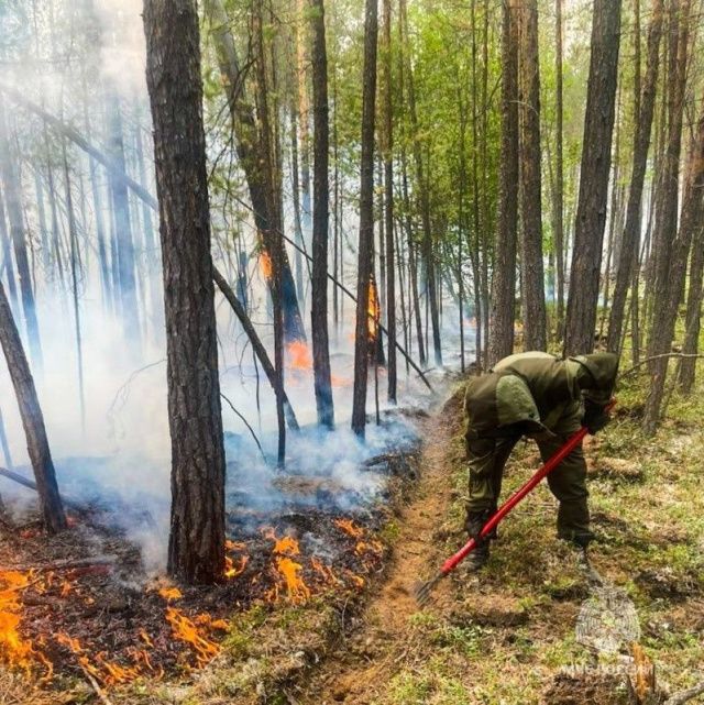 На территории Якутии действуют 68 природных пожаров