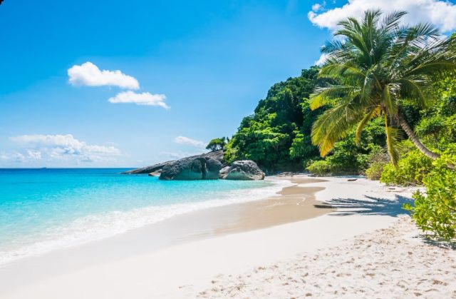 Лже-туроператор обманула жительницу Алдана на 550 тысяч рублей: От действий злоумышленницы пострадали около 300 человек