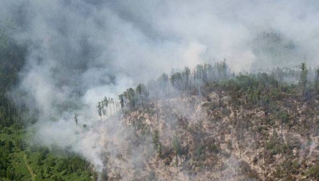 Колодезников: в Якутии завтра закроют пожароопасный сезон в землях лесного фонда