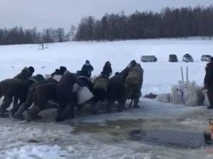 В Якутии загруженные мешками с рыбой сани провалились под лед