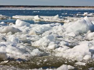 Соблюдайте меры безопасности в период прохождения весеннего паводка
