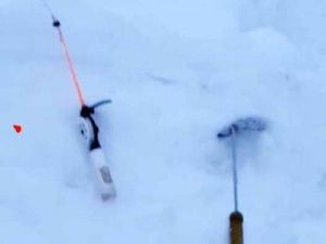 В Якутии белый медведь стащил блёсна у рыбака. Видео