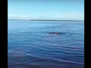 В Якутске машина съехала в воду и утонула
