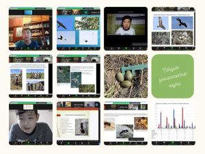 Завершен второй сезон сетевого проекта "Научное лето онлайн 2021"