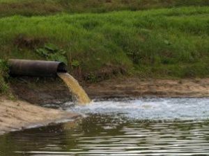 В Якутии суды обязали две компании возместить причиненный реке Лене ущерб