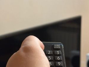 Дмитрий Певцов поддержал закон об обязанности онлайн-кинотеатров в получении прокатных документов