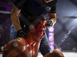 Фоторепортаж: турнир по смешанным единоборствам Eagles FC 53 в Якутске