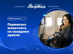 Перевозка животного на соседнем кресле