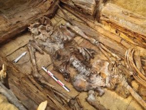 В СЕЛЕ КЫЙЫ ТАТТИНСКОГО УЛУСА ОБНАРУЖЕН СРЕДНЕВЕКОВЫЙ ВОИН