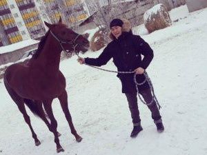 Фотофакт: боксер Василий Егоров получил в подарок чистокровного жеребца