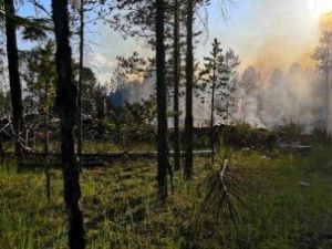 На администрацию Горного улуса наложили 150-тысячный штраф за лесные пожары