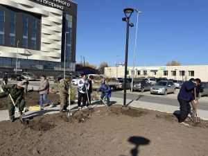 Итоги экологической акции «Пригороды - городу»: 884 новых дерева за одну неделю