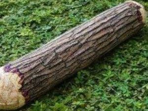 Пенсионер украл два бревна