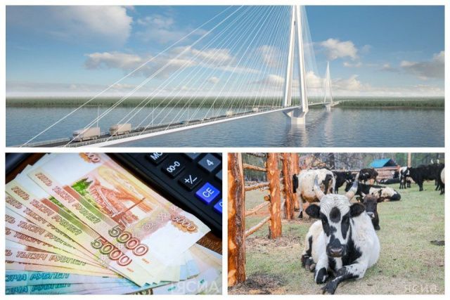 Ленский мост, зарплаты учителей и корова в подарок: с какими вопросами якутяне обращались к Путину