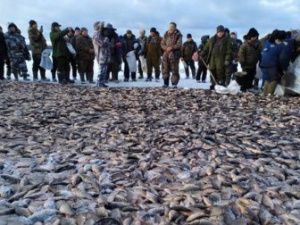 Тойон мунха