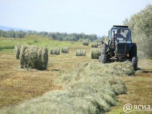 В Якутии заготовлено более 400 тысяч тонн сена  