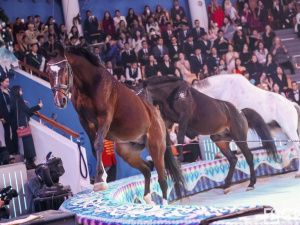 10 лучших школьников по итогам 2024 года наградили на Елке главы Якутии