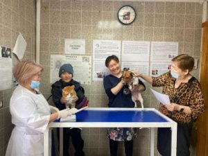 В Якутске и Жатае прошли мероприятия по вакцинации кошек и собак
