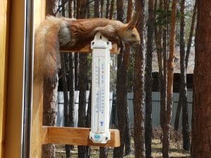 Владелица популярного сайта продает свой уютный дом!