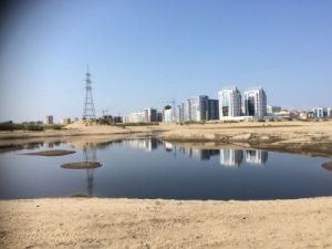 Фотофакт: вода ушла из городской протоки