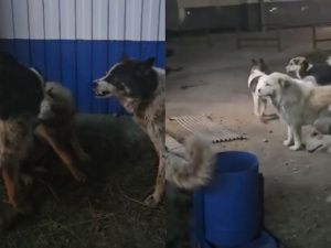 Жители Чульмана не отпускают детей в школу, по ночам слышны выстрелы