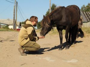 Якутские лошади стали героями фильма в Мурманской области