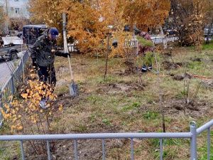 Итоги экологической акции «Пригороды - городу»: 884 новых дерева за одну неделю