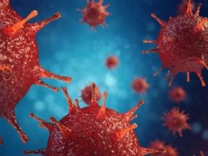 Главный онколог Минздрава РФ: Жирная пища, красное мясо и алкоголь повышают риск возникновения опухолей