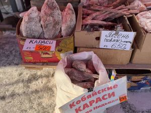 Свежий обзор цен на Крестьянском рынке 