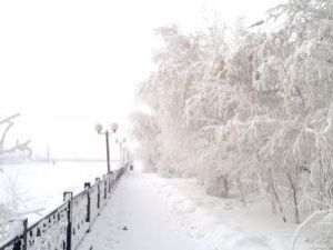 Кадастровая палата запустила новый онлайн-сервис по выездному обслуживанию