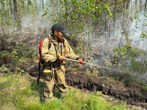 За сутки в Якутии ликвидировали еще 4 лесных пожара 