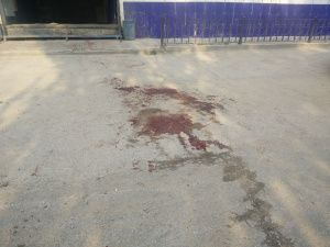 По факту убийства посетителя рок-бара в городе Якутске возбуждено уголовное дело