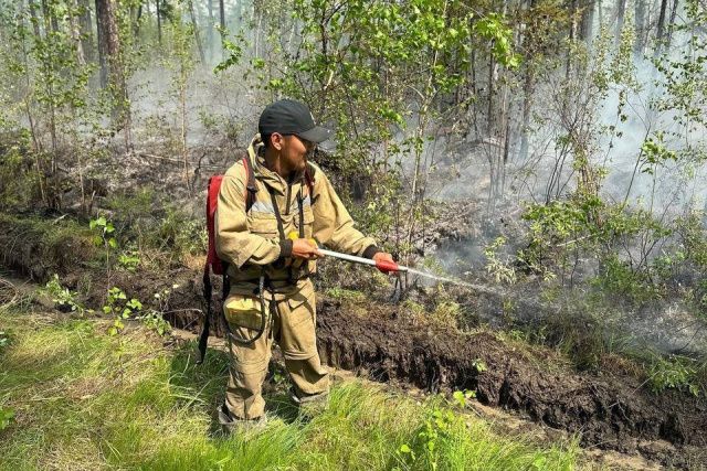 За сутки в Якутии ликвидировали еще 4 лесных пожара 