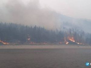 В Верхневилюйском улусе вынесли приговор мужчине, по вине которого начался лесной пожар