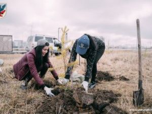 Специалисты посадили деревья в Парке Победы в Якутске