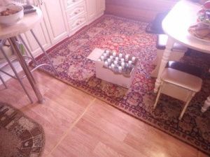 Из дома 49-летней жительницы Амгинского улуса изъяли 18 бутылок водки