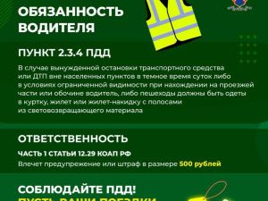 В Якутии с начала года зарегистрировано 105 ДТП с участием детей