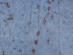 В Якутске одинокая беспомощная бабушка нуждается в срочной помощи