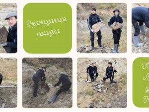 Завершен второй сезон сетевого проекта "Научное лето онлайн 2021"