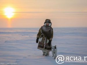 В Якутии жителей арктических территорий освободят от налогов