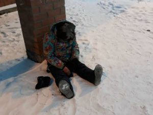 В пригороде Якутска водитель вытолкал из автобуса женщину и оставил на улице