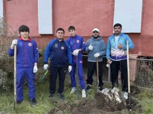 Общественные и спортивные организации присоединились к акции «Город без пней»