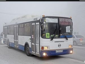 Эдуард Садовников: Маршрут №8 будет временно приостановлен