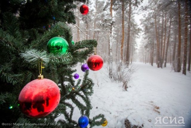 Что можно и что нельзя в Сочельник 6 января