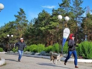 Авксентьева попросила у Николаева разрешения открыть парк культуры и отдыха